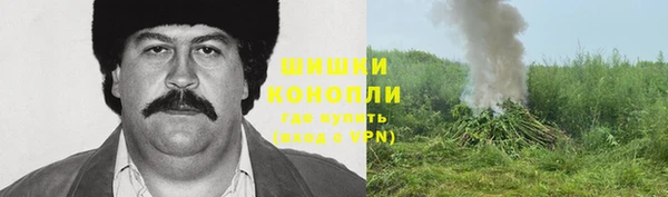 винт Абаза