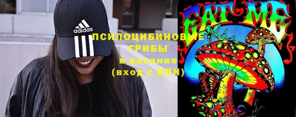 стафф Абинск
