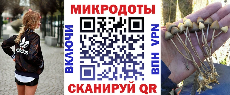 Псилоцибиновые грибы мицелий  Нолинск 